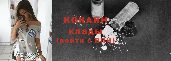 кокс Ельня