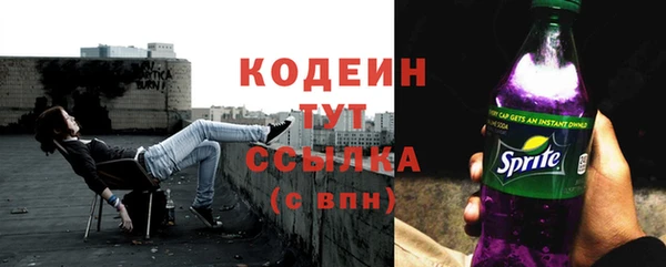 амф Елабуга