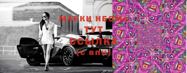 амф Елабуга