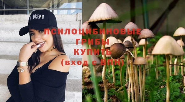 а пвп мука Елизово