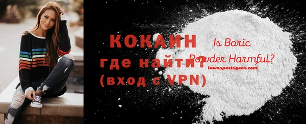 кокс Ельня