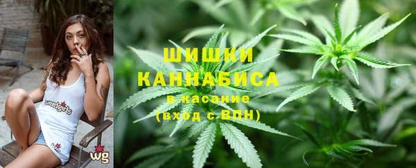 кокс Ельня