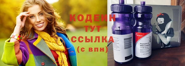 кокс Ельня